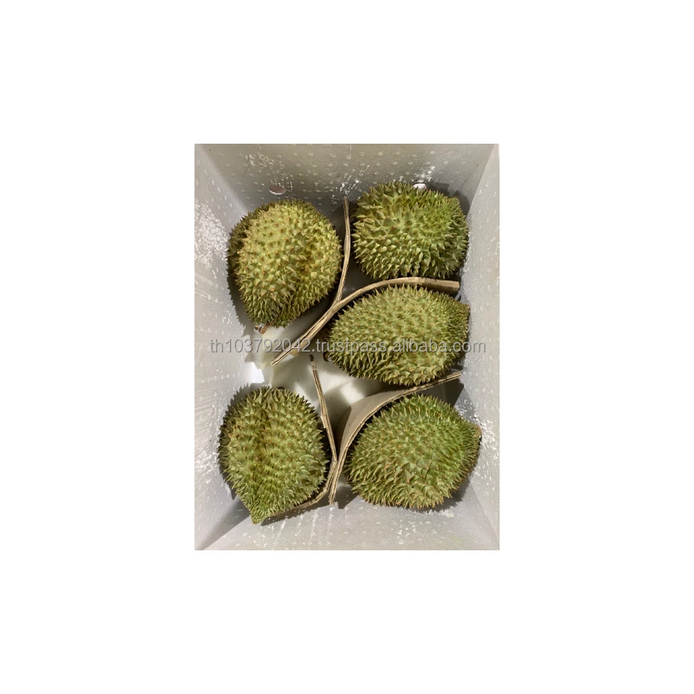 Premium Fruit  Fresh Durian From Thailand