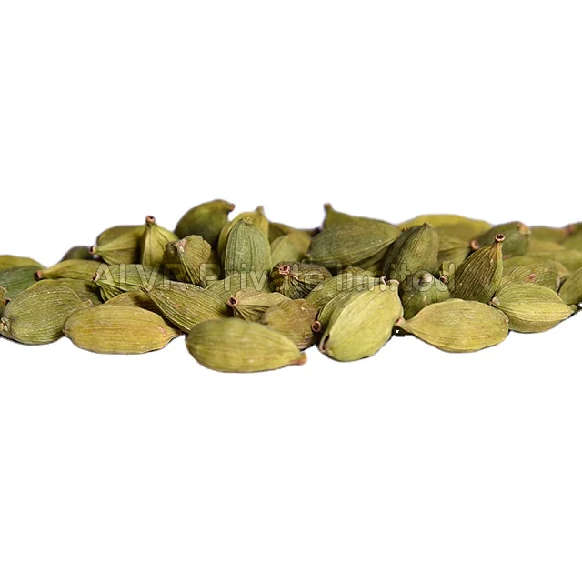 Natural Best Quality Fresh Green Cardamom Elachi Spice for Wholesale green cardamom dry Best cardamom Market price