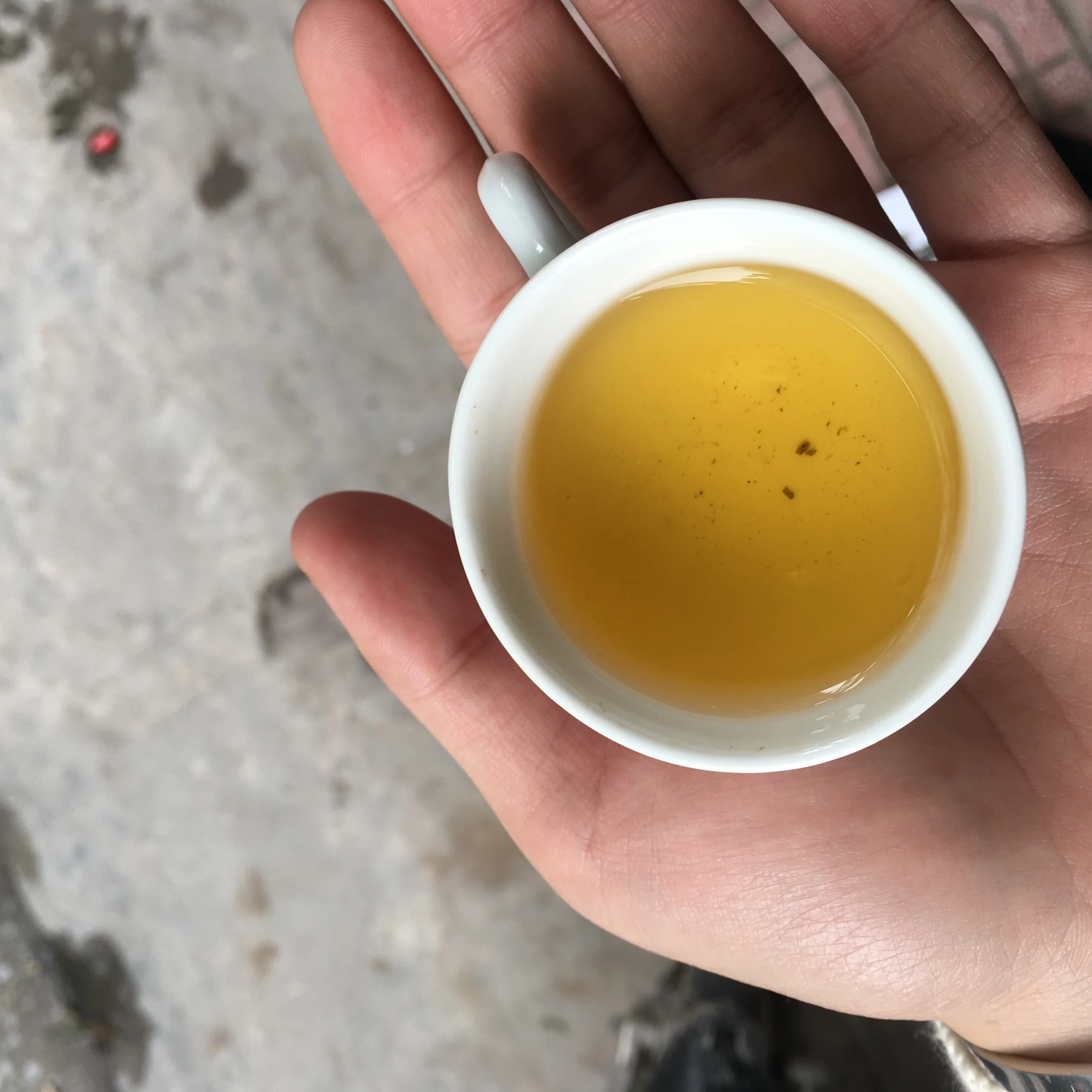 OP GREEN TEA - The best green tea quality and cheap price from Vietnam | packing on request 500Gr/ 1KGS/ 3KGS/ 5KG