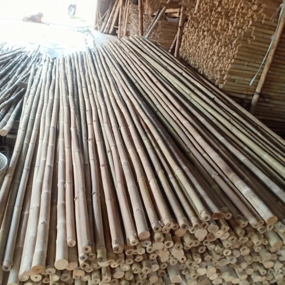 The leading product in Vietnam selling bamboo poles in bulk for decoration and construction, agriculture. most popular products
