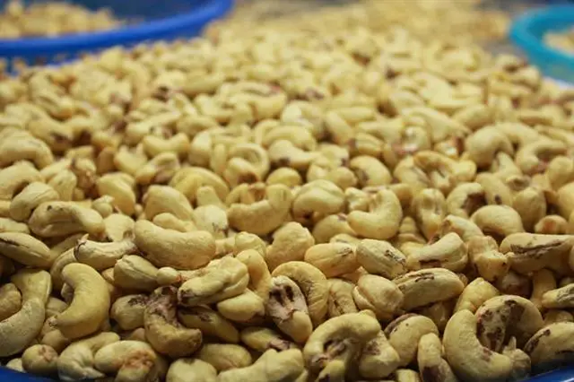 Natural Fresh Cashew Nuts W320 W240 Cashew Nuts Export quality From Vietnam packaged cashew nuts