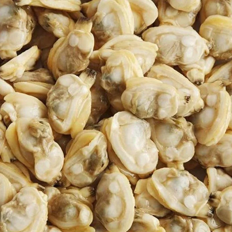  Сертификация HACCP BRC без высыхания цельная/мясная деталь замороженные стильные клапаны (моллюски) изготовлено из Вьетнама