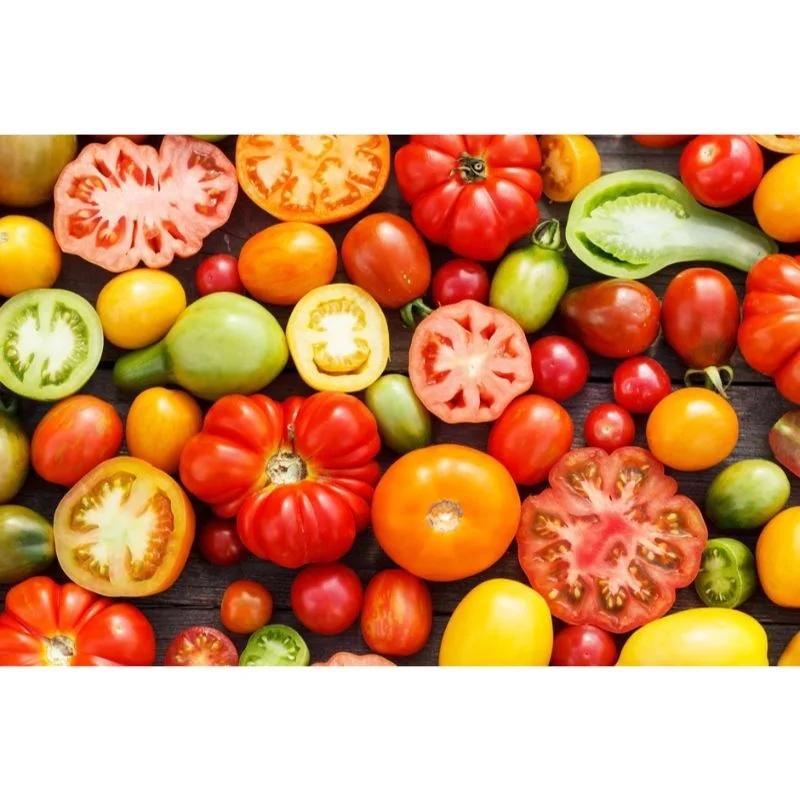 MN GLOBAL fresh vegetable  sale for tomato export in can packing