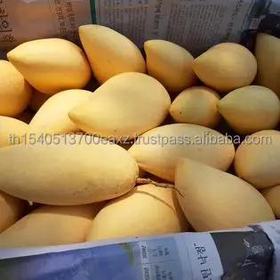 Тайский манго Премиум фрукты (тайский нудукмай) (Золотой