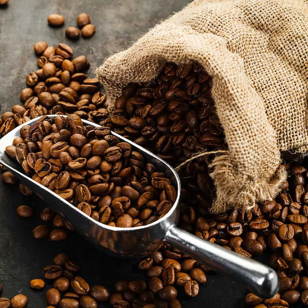 Jepara Coffee Bean 100% High Quality Guarantee Roasted Coffee Beans Indonesia, Best Price, best seller 2022