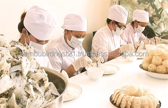 Высококачественное белое Птичье гнездо 100% чистое, птичье гнездо полезно для здоровья