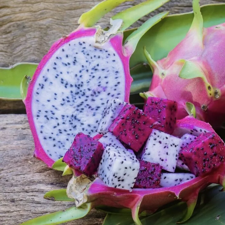 Wholesale Premium Quality Cheap Price White Red Fresh DRAGON FRUIT From Viet Nam