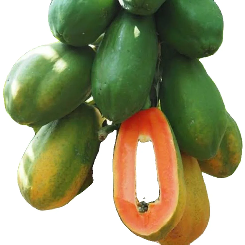 Пакетик 30 г для Pawpaw red glory f1 поставка в