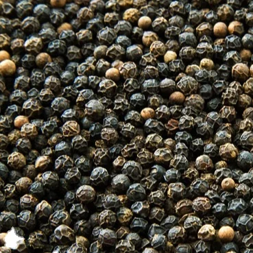 Black Pepper 500 Gr/L New Crop In Vietnam Good Quality
