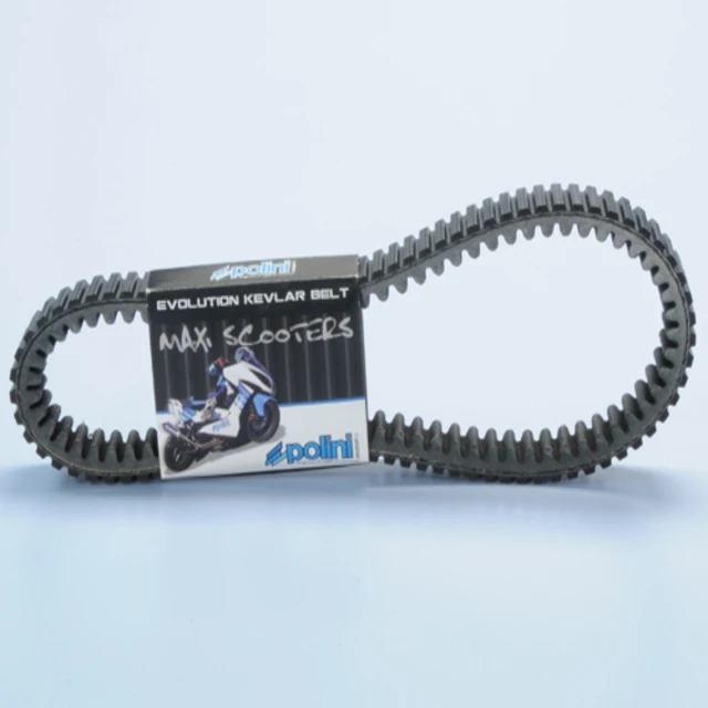 Polini Maxi Hi Speed Variator 241.712 for the Honda SH 125-150 Made In Italy  Supplied With 1 Roller Set 20X17 Gr.10