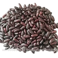 HOT SELLING VIETNAM RED KIDNEY BEANS 2022