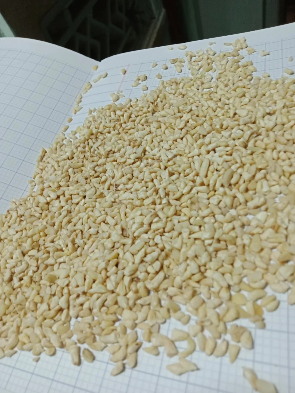 FRESH CASHEW NUTS/ CASHEW NUTS W320 W240 EXPORT CASHEW NUTS  FROM VIETNAM/ Ms Jolie (Whatsapp : +84902679738)