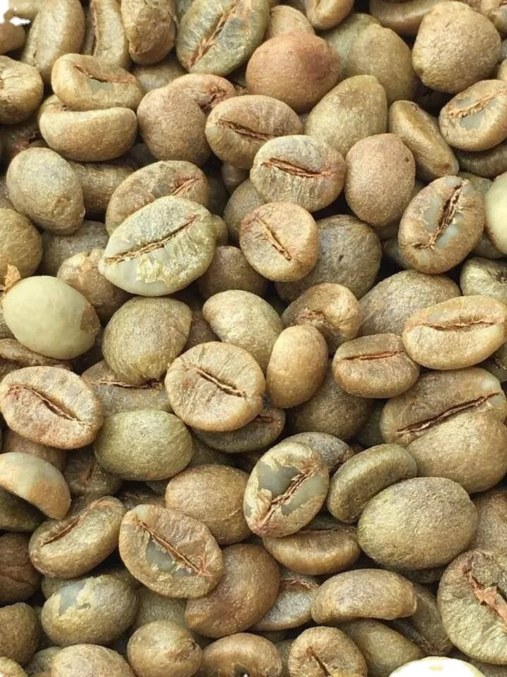 Вьетнамский фирменный КОФЕ Robusta зеленая фасоль высококачественный натуральный мелкий цельный нейтральный вкус 60 кг мешков