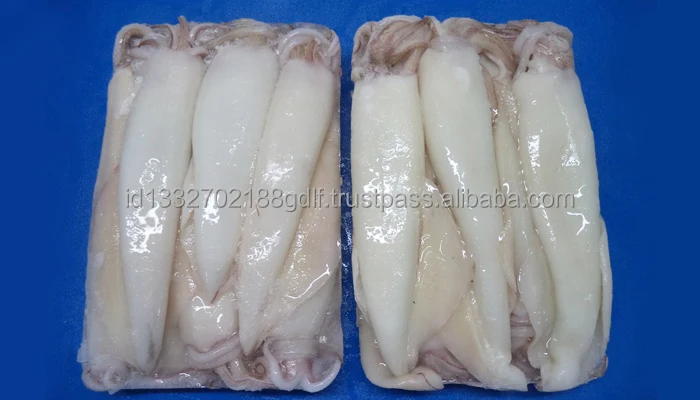 Оптовая цена 100% высокое качество ориентированная на экспорт индивидуальная упаковка свежий замороженный Илекс-кальмар из Индонезии