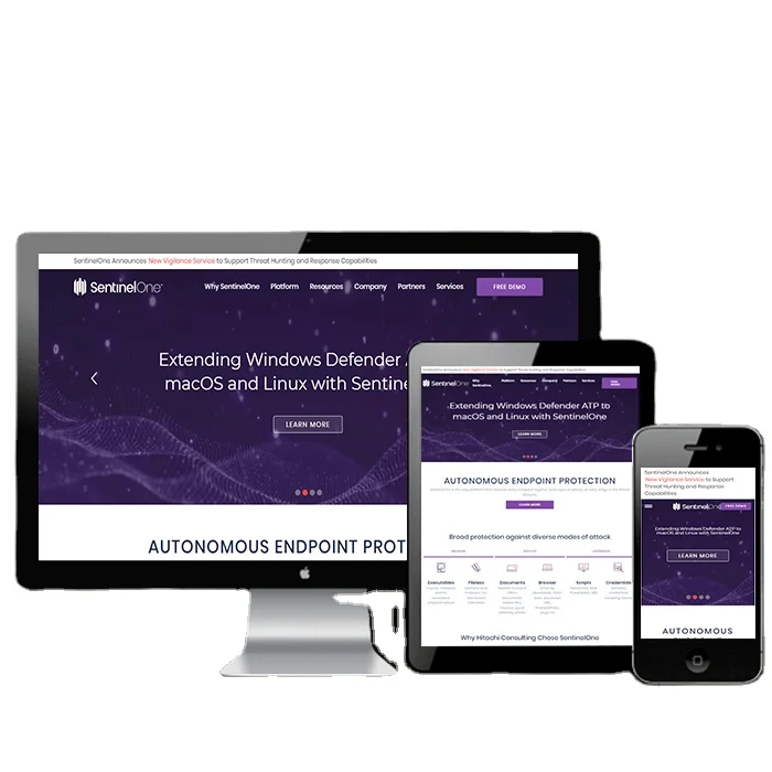 Веб-программное обеспечение под спросом, проектирование приложений и услуги по развитию для вашего бизнеса-электронные услуги ProtoLabz