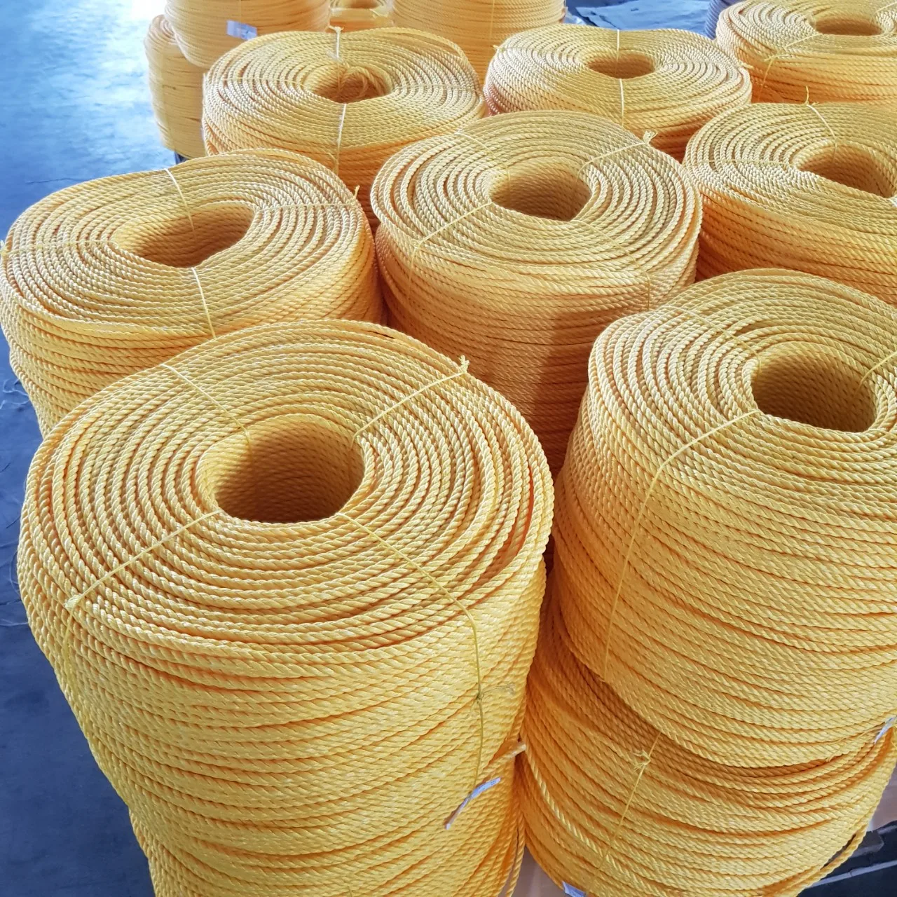 Best price pp braided rope, pp danline rope made in Vietnam, Pp twisted rope, pp rope 3-4 strands, pp multifilament rope