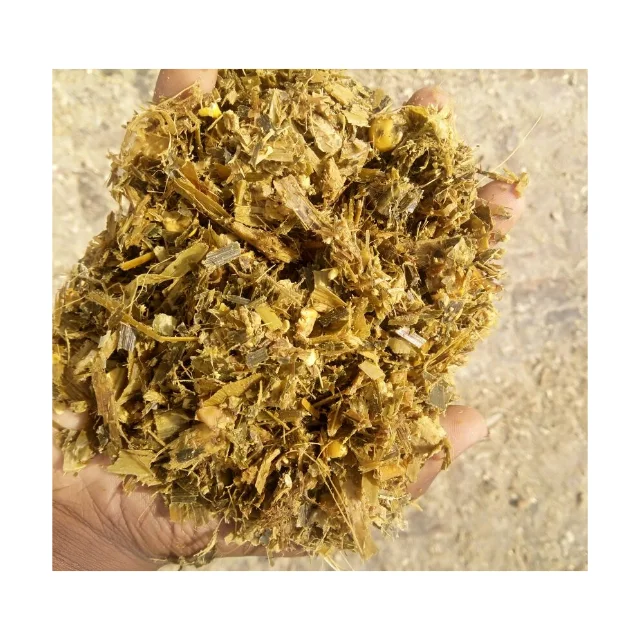 Premium corn silage for livestock feed available in bulk ideal for dairy and beef cattle
