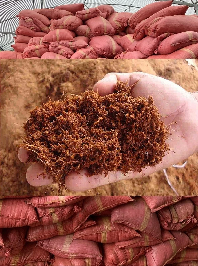  Cocopeat в пакете 15 кг для растительного дерева/Кокосовая Торфяная койра система выращивания томатов _ Ms. Азура