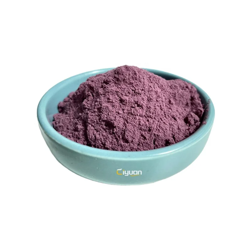 Ciyuan Factory Supply Bulk Price Immunity Enhancement Supplement Elderberry Extract Powder