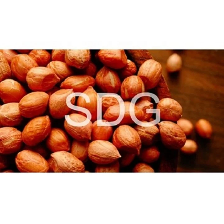 Mungfali Dana 50 60 JAVA Peanut Groundnut Kernels at best Offer Price