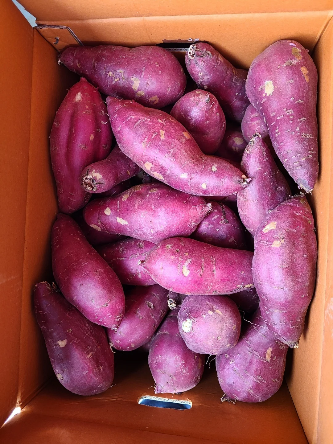 Korean Honey Sweet Potato