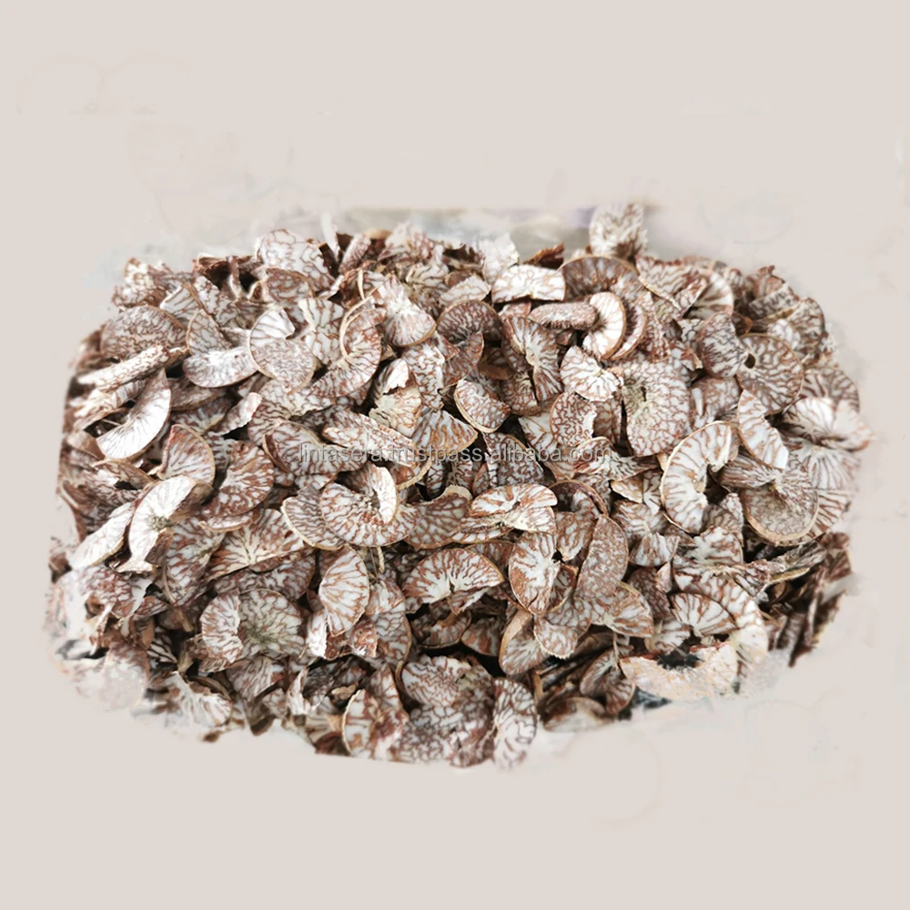 Best Export Quality Well Dried Good Cut Split Betel Nut