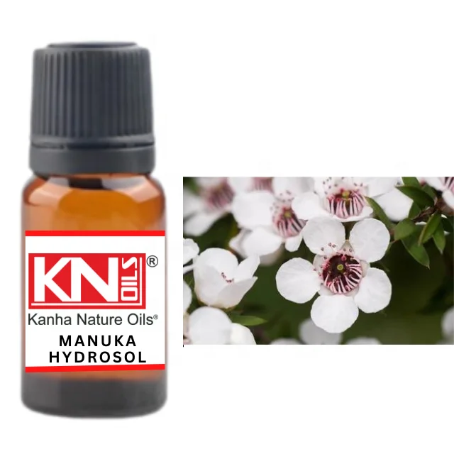 Buy MANUKA HYDROSOL at Wholesale price  from india largest manufacture kanha nature oils buy bulk MANUKA HYDROSOL