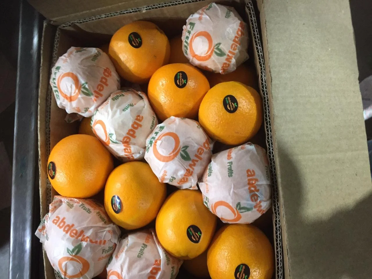FRESH ORANGE(Navel oranges / Valencia oranges)