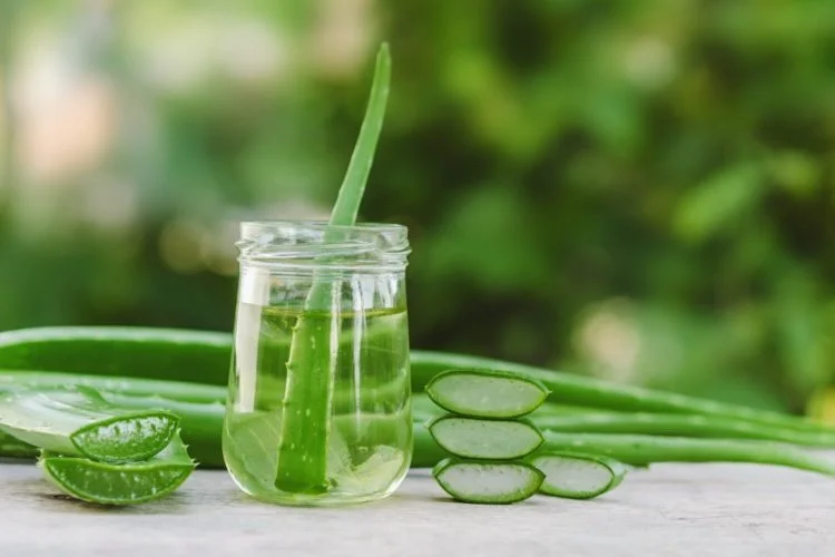 EXPORTING VIETNAMESE ALOE VERA JELLY: HIGH QUALITY, GREAT PRICES