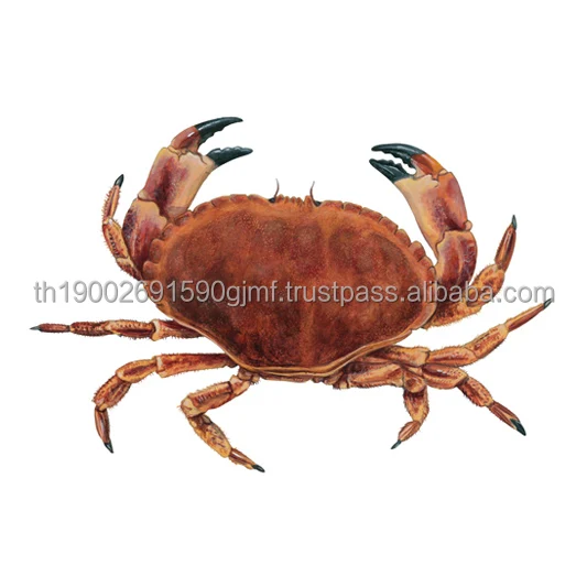 brown-crab.jpg
