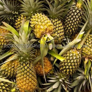 pinneapple (2).jpg