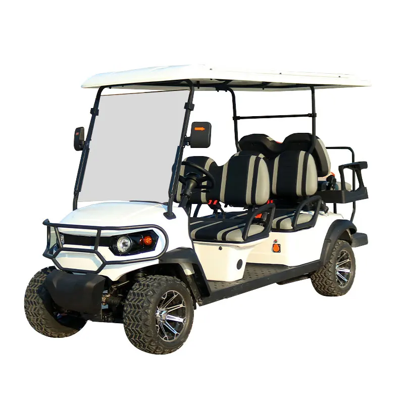 48V/72V New Design with Curtis Controller Electric Golf Cart 5kw ODM Service for Exclusive Brand Agent