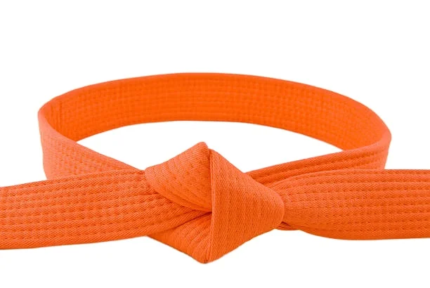 Karate Kickboxing Judo Black Belt Silk Satin MASTER-GRADE