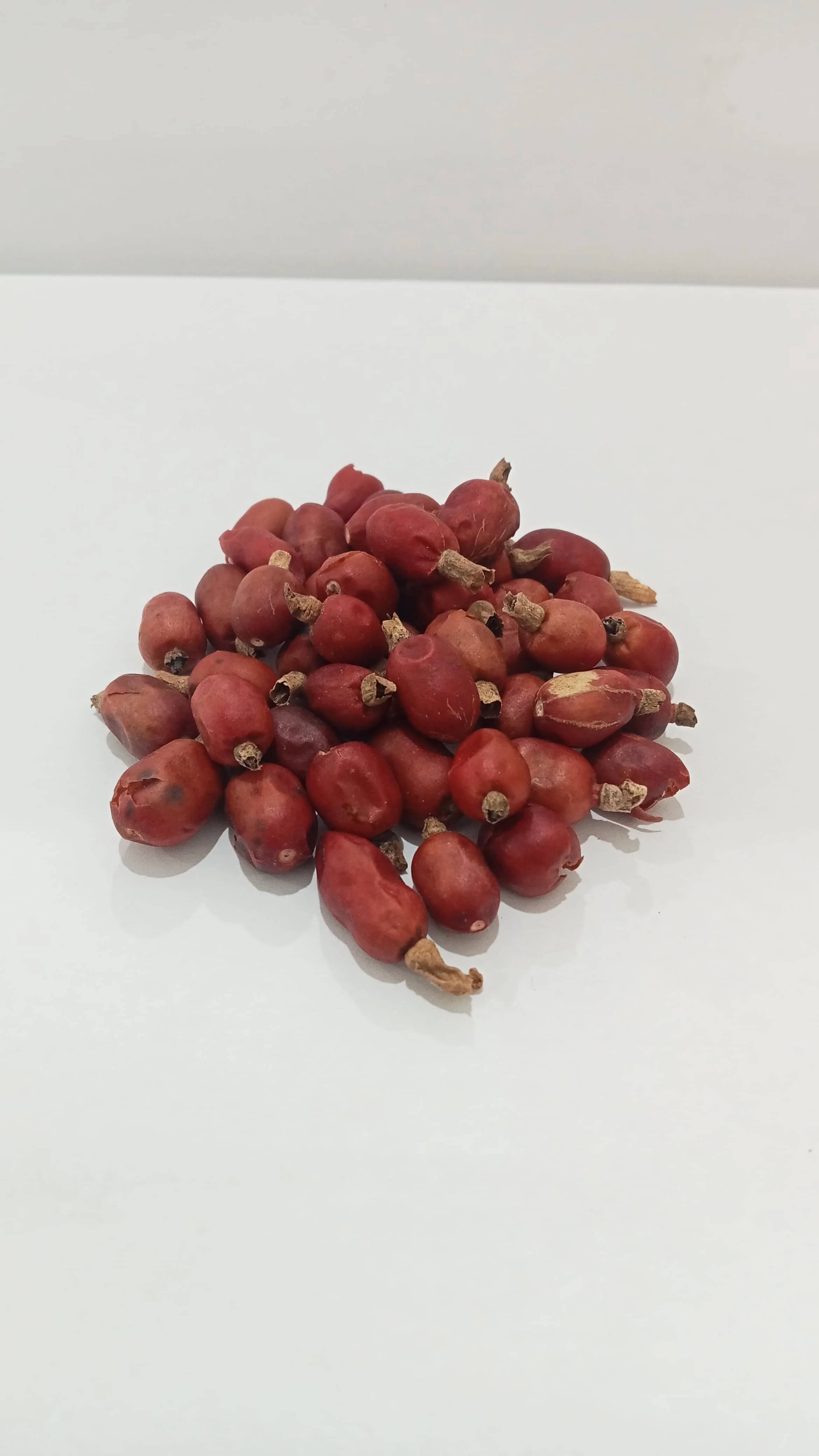 ALPINIA GALANGAL SEED