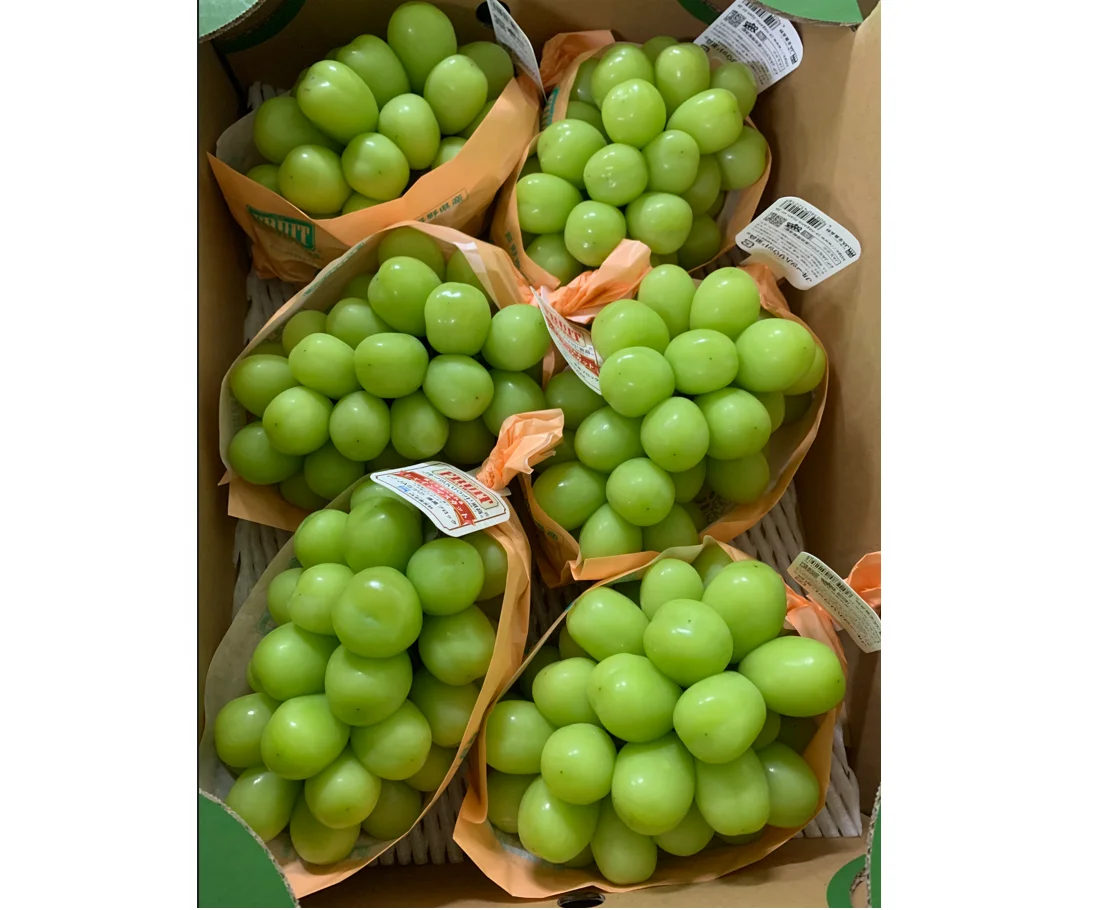 Fresh High Quality Japanese Fruit Grape Shine Muscat For Wholesale