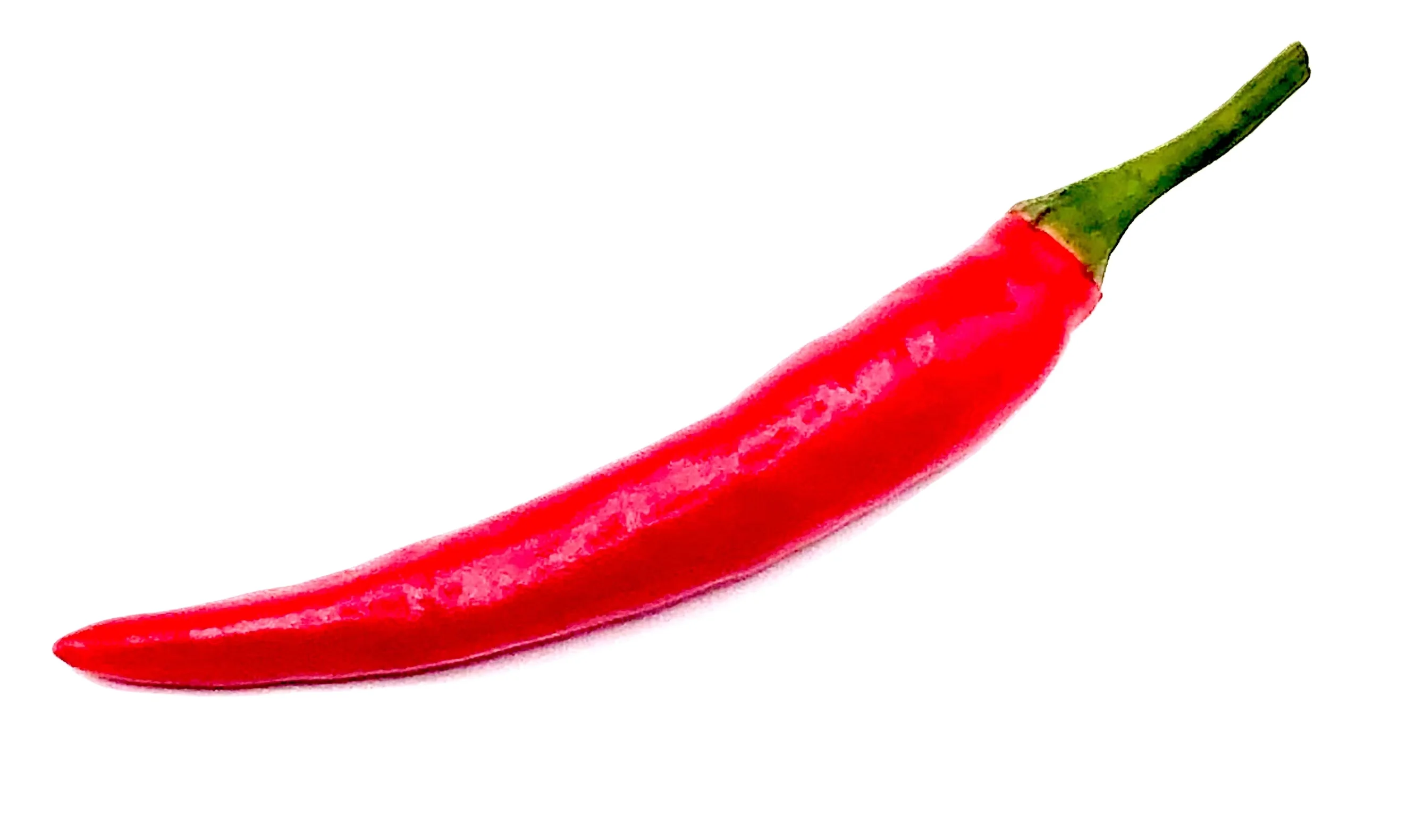 Premium Other Fresh vegetables Spices Seasoning Red Chili from Thailand