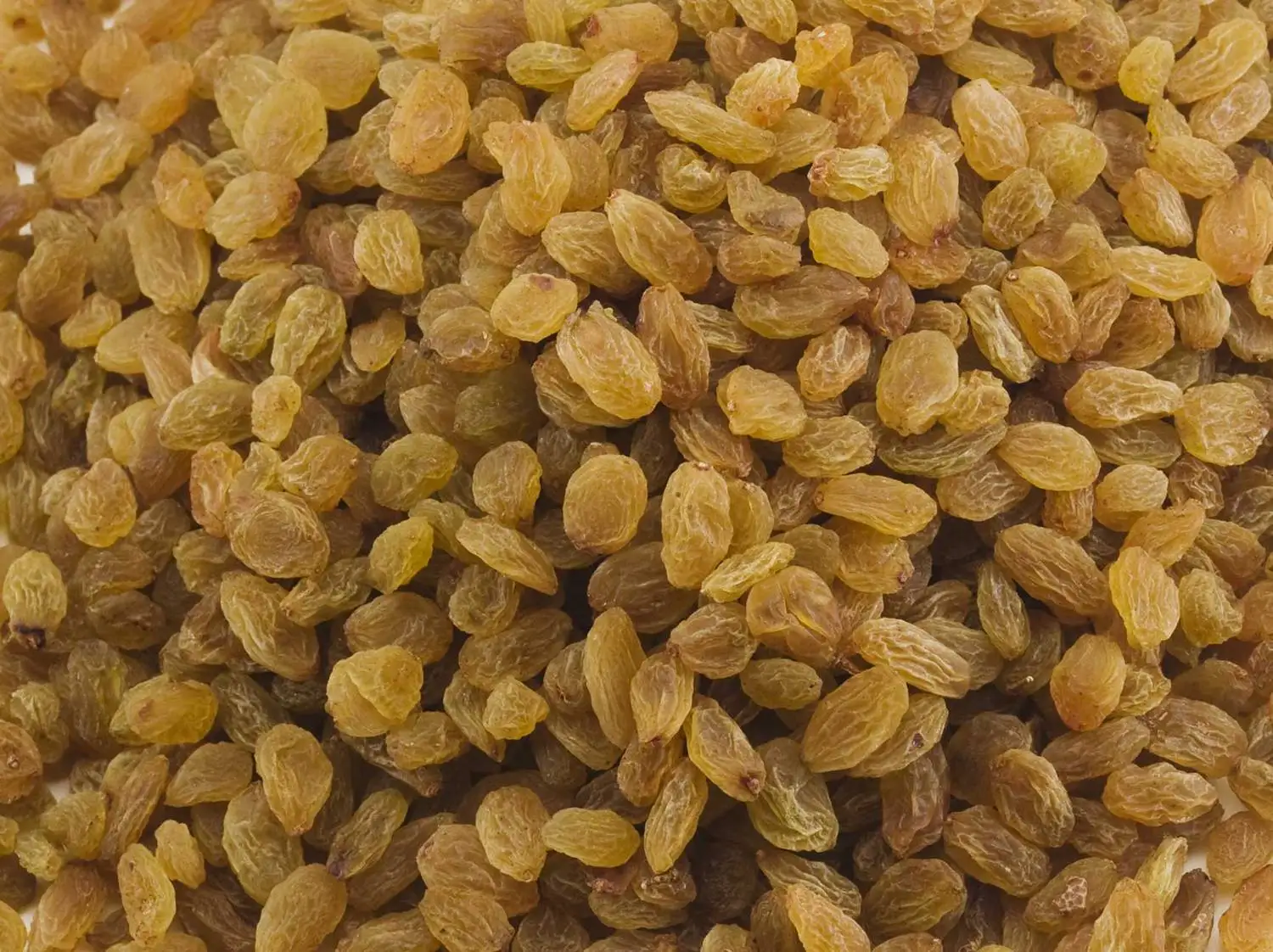 Hot Selling Cheap Green Raisins Dry Fruit Supplier From India