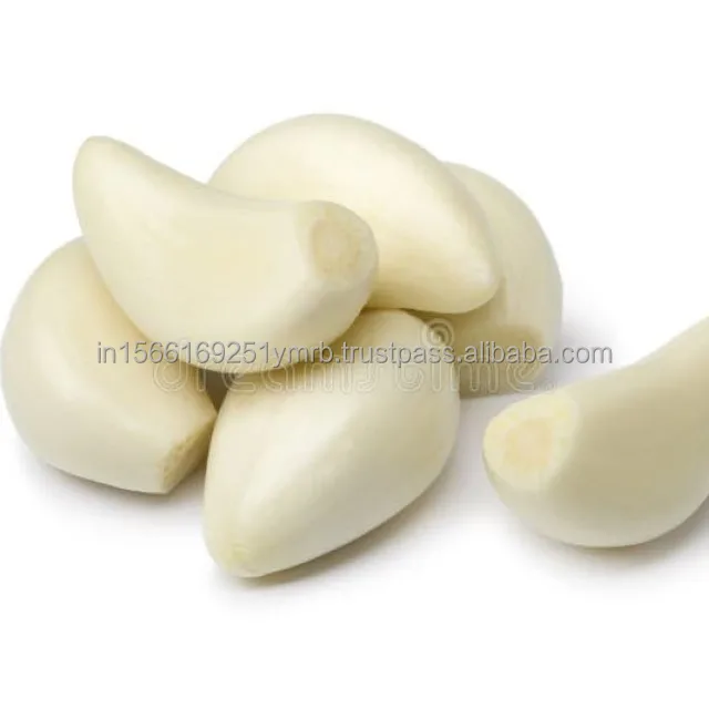 high quality new crop fresh garlic original supplier full dried goods wholesale price garlic