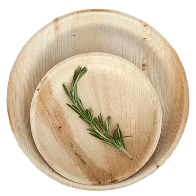 Biodegradable Bamboo Dinnerware 8 Inches Go Green Wood Style Disposable Fruit Dessert Plates Pack 50pcs for Parties