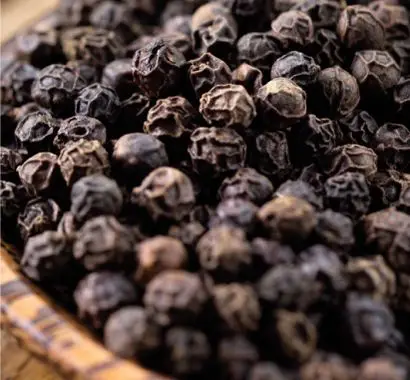 SINGLE SPICES BLACK PEPPER SEED 550 570 G/L MC NEW CROP HANFIMEX TOP VIETNAM FACTORY PRICE HIGH QUALITY  WhatsApps 0084374074818