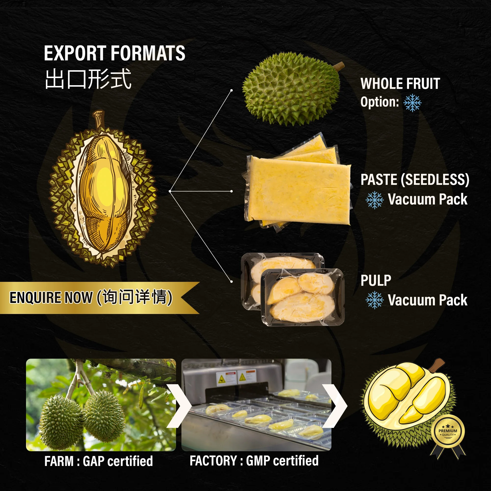 Premium Frozen Durian Musang King (D197) Mao Shan Wang Malaysia (Durian Paste Seedless)