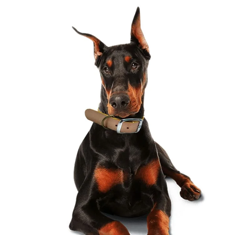 Широкий сверхпрочный плоский роскошный ошейник из воловьей кожи ручной работы серебристого цвета для собак роскошный ошейник для домашних животных