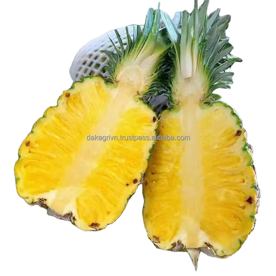 Pineapples New Vietnam High Quality Cleaning Products Bulk Quality Exporter Pineapples 100% Fresh MD2