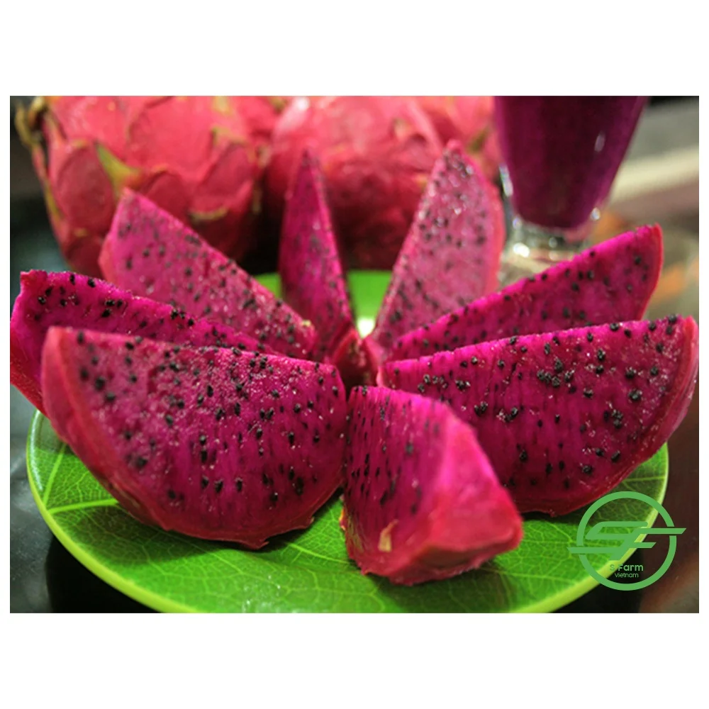 Fresh Sweet Dragon fruit Hot Selling Vietnam Export