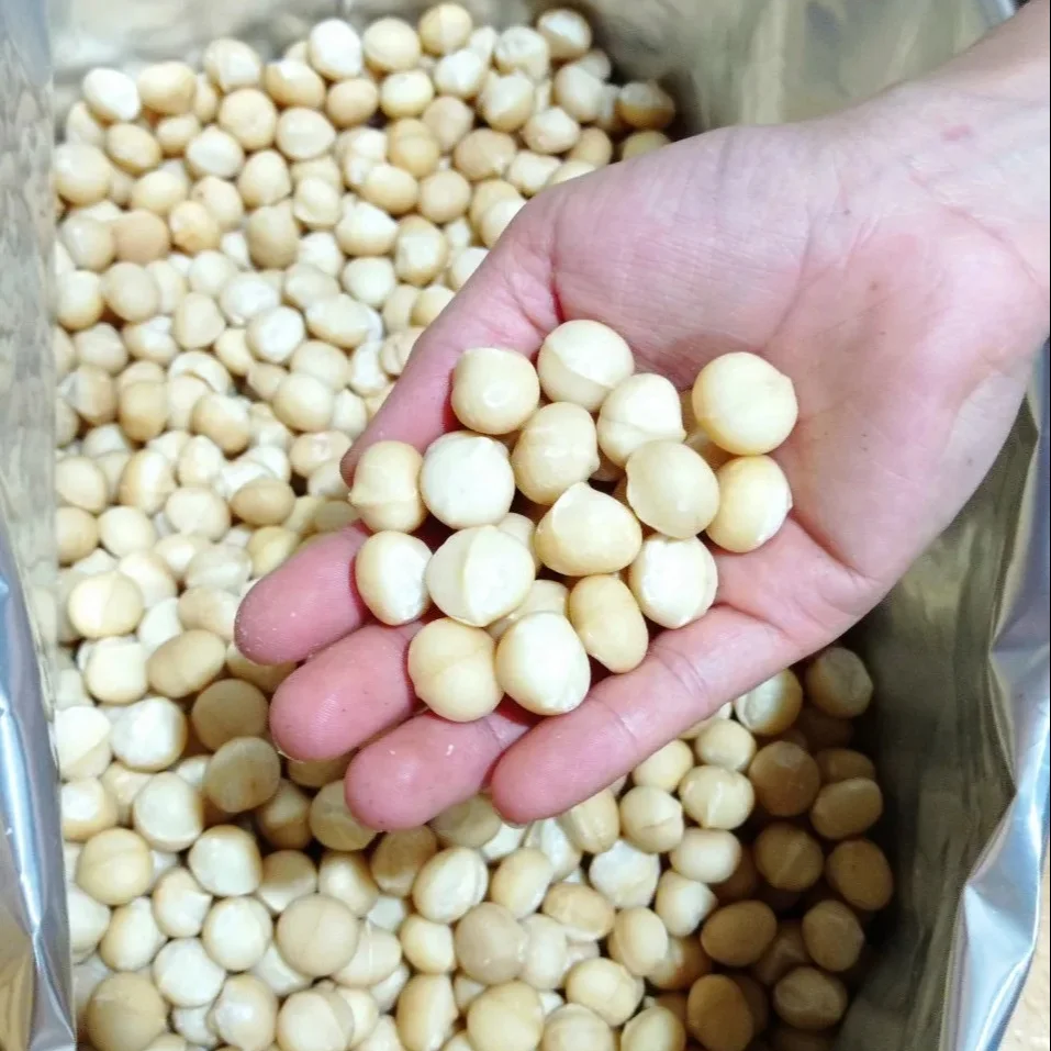 Питательные орехи макадамия с скорлупой или ядрами по конкурентоспособной цене от надежного вьетнамского поставщика + 84 326055616