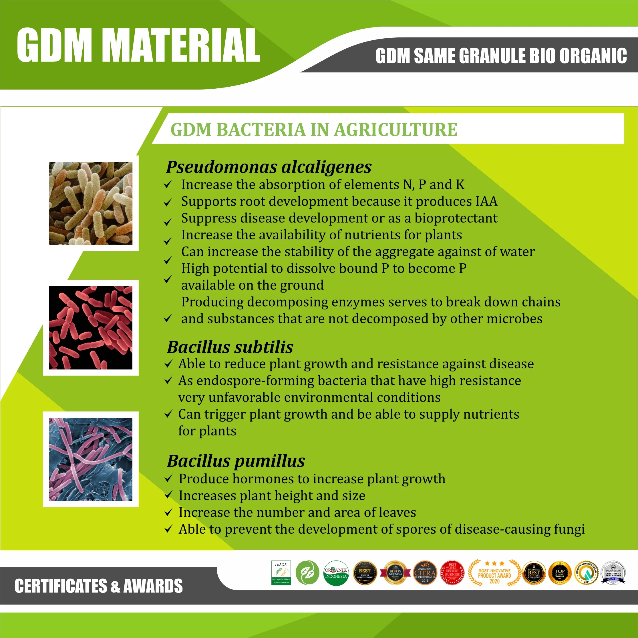 Granule BIO ORGANIC GDM SA-ME ORGANIC Fertilizer Repair Soil Ecosystem Prevent Soil Borne Disease Provide C-organic for Soil -