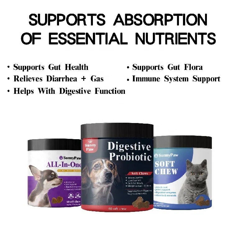 OEM & ODM, пробиотик для домашних животных, собака, Витаминная добавка, жевательные мышцы для собак, питательная Иммунная поддержка с высоким содержанием белка