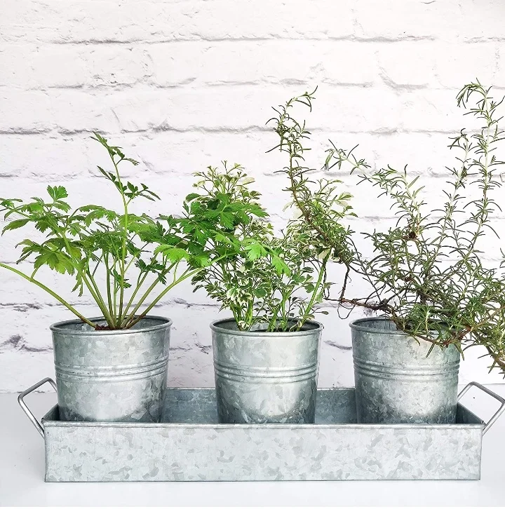 Galvanized Iron Round Planter Decorative Herb Pot Set Of 3 Piece Garden Metal Flower Pots With Tray Indoor And Outdoor Decor