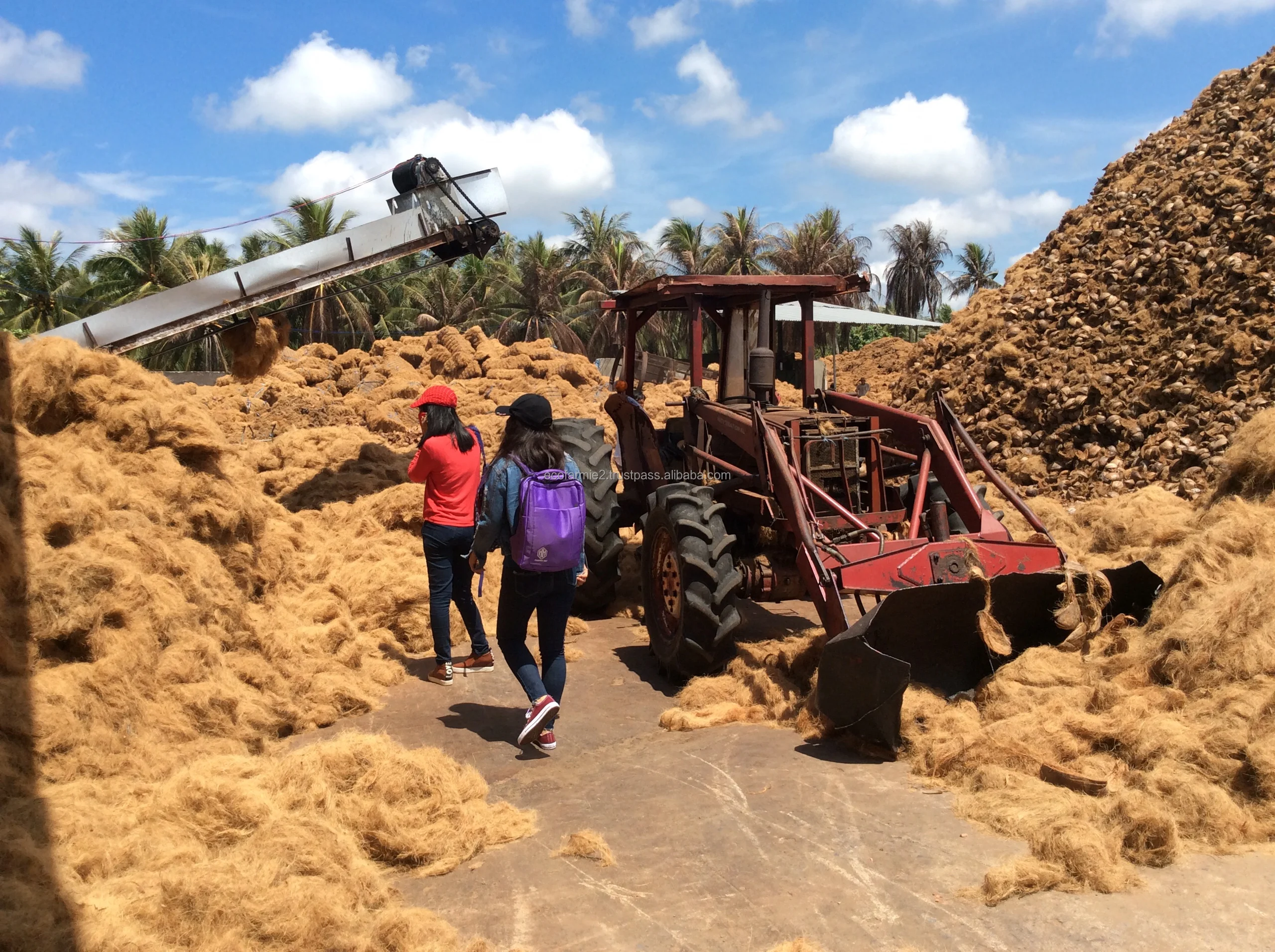 Premium quality bulk quantity coco coir coconut fiber husk bales cheapest prices origin in Vietnam