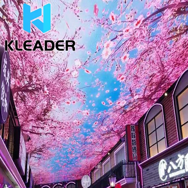 Sky Led Screens 3D Hologram Display Projection Video Content Animation Source Projector Screen Sky Indoor For Malls And Museums